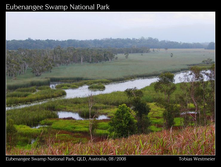Eubenangee Swamp National Park