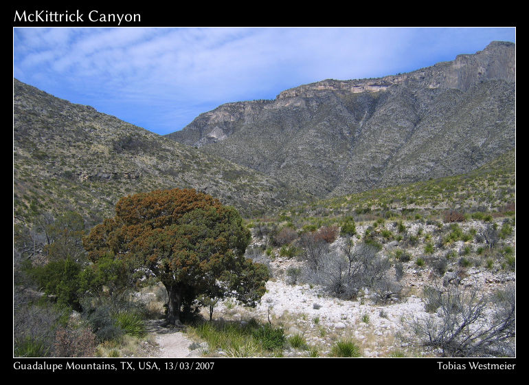 McKittrick Canyon, Guadalupe Mountains