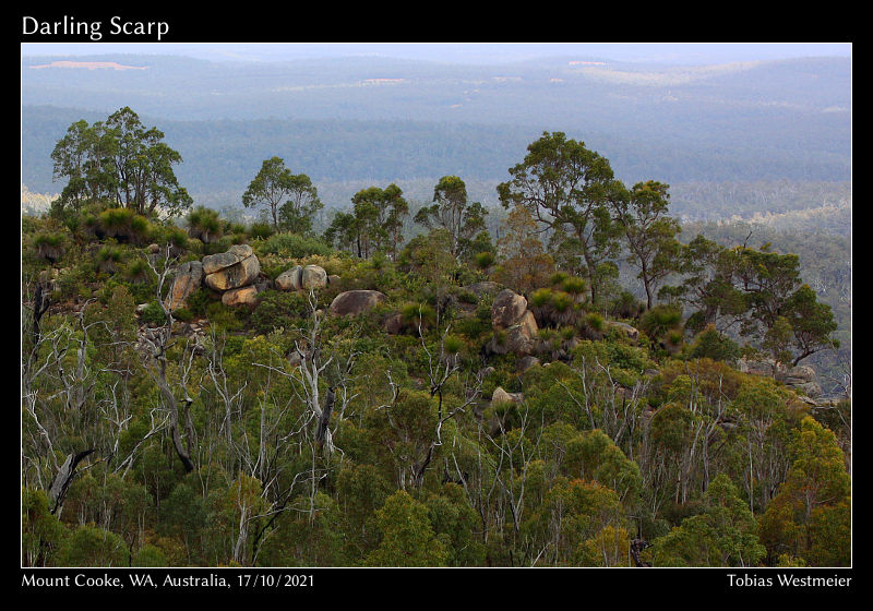 Darling Scarp