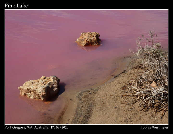 Pink Lake