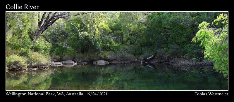 Wellington National Park