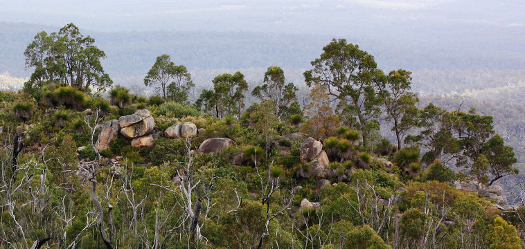 Darling Scarp