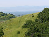 Kaiserstuhl, Germany