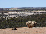 Wheatbelt, Western Australia